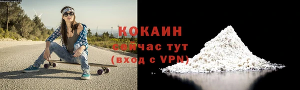 твердый Балахна