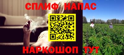 ГАЛЛЮЦИНОГЕННЫЕ ГРИБЫ Камышлов